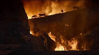 The Lion King (2019) - Last Fight Between Scar and
