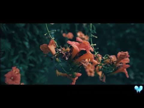 FASTLIFE - RNOTM RIO (OFFICIAL VIDEO)