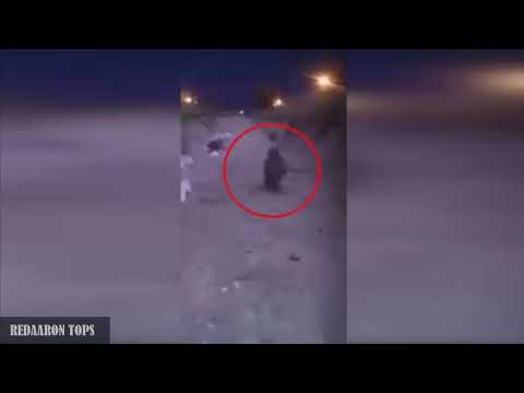 download lagu mp3 mp4 Duendes En Mexico, download lagu Duendes En Mexico gratis, unduh video klip Duendes En Mexico