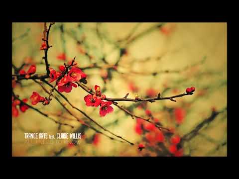 Trance Arts feat. Claire Willis - All I Need To Know (Dereck Recay Remix)