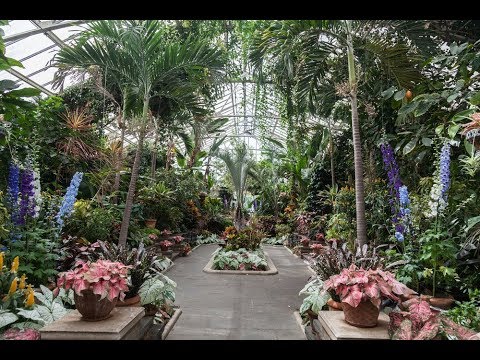 Planting Fields Arboretum Tour: Part 3 - Plant One On Me — Ep 081
