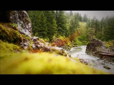 2 Hours of Handel's Passacaglia