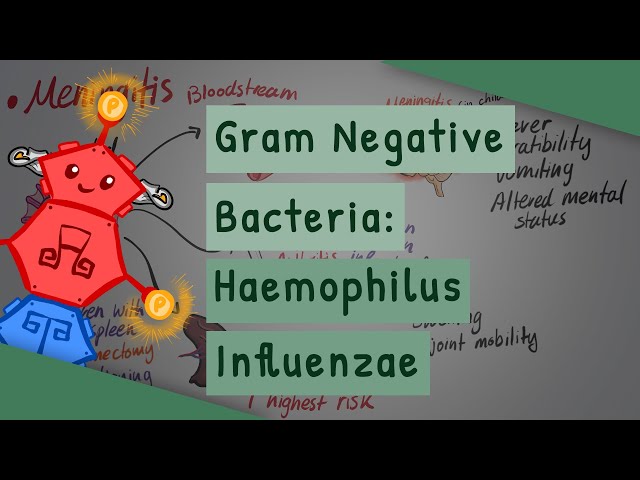 Video pronuncia di Haemophilus in Inglese Video pronuncia di Haemophilus in Inglese