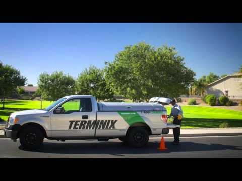 Day In The Life - Service Technician