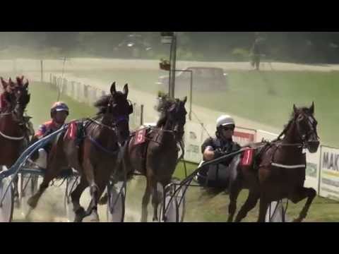 Vabilo na 26. slovenski kasaški derbi