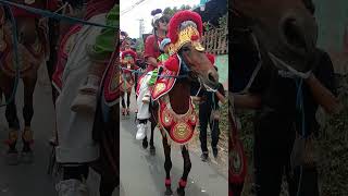 Download lagu kokosodan gogoleran mang ende ‼️ kuda renggong cuta muda mp3 Download lagu kokosodan gogoleran mang ende ‼️ kuda renggong cuta muda mp3