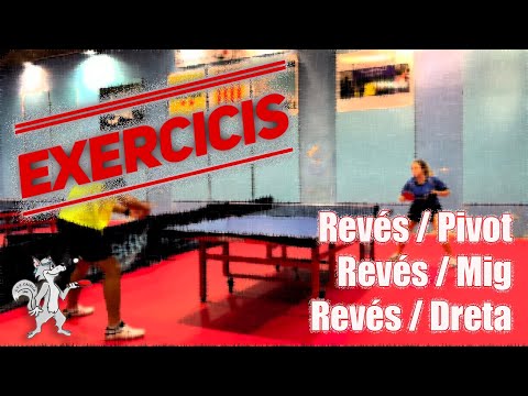 Exercicis: Exercicis regulars 1 | Club Tennis Taula Calella