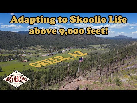 Keeping Cool in Our Skoolie at 9,200ft Near Greer, Arizona!