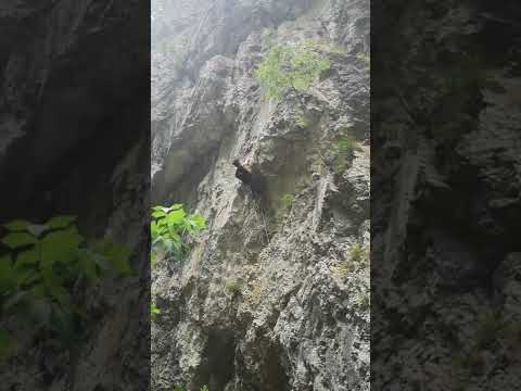 rock climbing in Sohodol Gorges, Romania