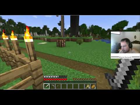 Minecraft Ep #182 (  Pc Gameplay ITA )