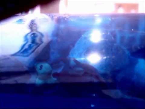 Xque Compilation 2001 Vol. 1 Thank You - Part 4