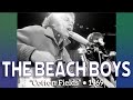 The Beach Boys • “Cotton Fields” • 1969 [Reelin' In The Years Archive]