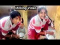 A Village Beautiful Girl Drinking Cow Milk Milking Milking Video