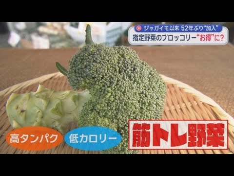 YouTube Video 高タンパクで低カロリー・ブロッコリーが「指定野菜」に…そのメリットは　青果店「消費者も求めやすくなると思う」　