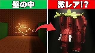津波から逃げるブレインロットのひび割れた壁の裏側に隠された秘密がヤバすぎた【ロブロックス】【都市伝説】