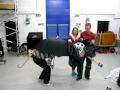 13 03 10 Figuring Out Elephant Puppet