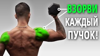 Тренировка плеч гантелями. Лучшие упражнения на плечи. Для набора массы и симметрии