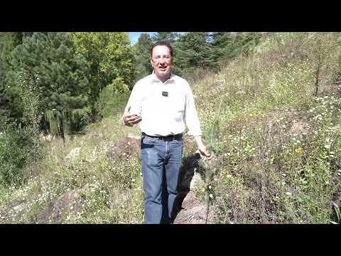 img-4072