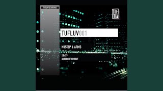 Analogue Groove (Original Mix)