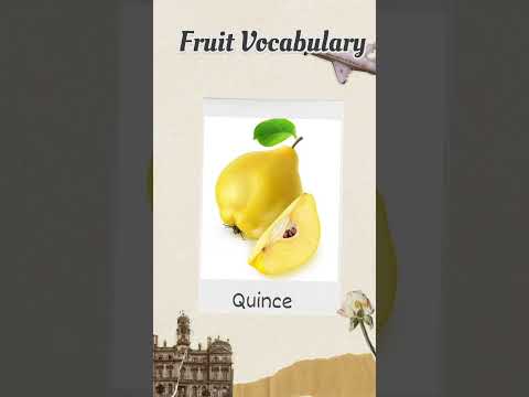 Fruits Vocabulary. English learning practice. English vocabulary for beginners #learning #english