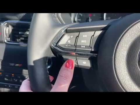 How to set a sat nav destination using voice control