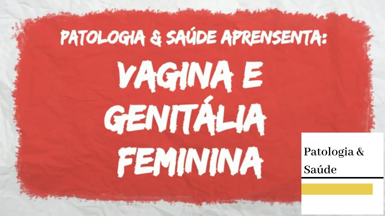Histologia do Sistema Reprodutor Feminino: Vagina e Genitália Externa