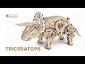 Eco-Wood-Art Construction kit Triceratops
