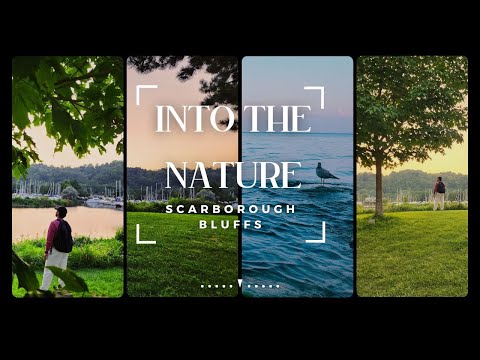 Escape to Nature's Paradise: Uncovering Scarborough Bluffs' Beaches and Serene Trails