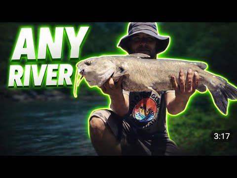 How to Catch Channel Catfish on ANY River System (Riffle, Hole, Run)