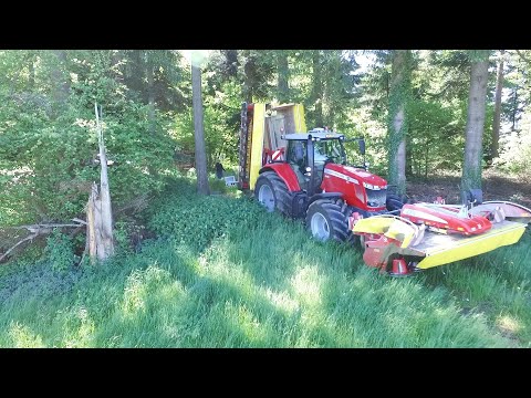 Farmerpower am Grasmähen ( 10m ) mit MF und Pöttingerpower
