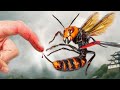 STUNG By The Murder Hornet