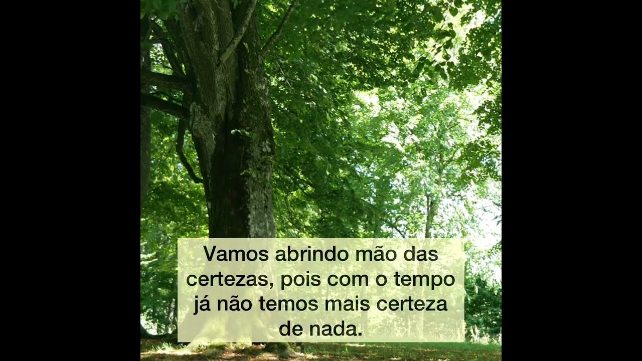 De repente tudo vai ficando tão simples que assusta.