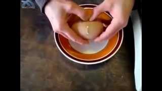 Pelik Tapi Benar - Telur dalam Telur
