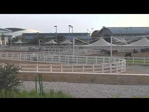 Al Shaqab equestrian center