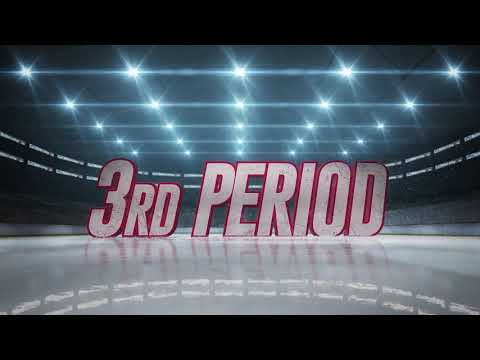 Griffins vs. IceHogs | Mar. 1, 2019