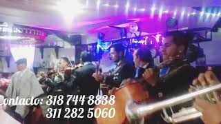 Video de Mariachi Nuevo Son