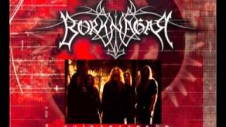 Borknagar - The Ruins of Future