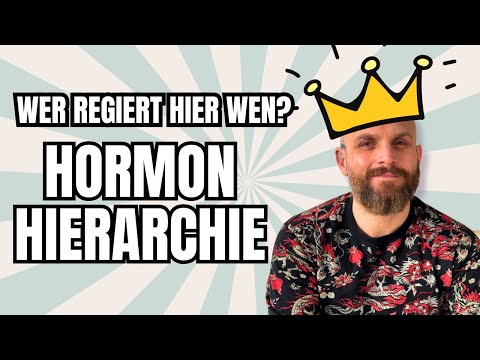 Hormone endlich verstehen: Die Hierarchie von Hypothalamus bis Zielorgan