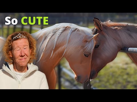 Lavendel is let out again and falls in love for the first time❤ Cutest thing I've seen😍