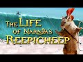 The Life Of Reepicheep Narnia Lore Prince Caspian Dawn Treader