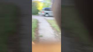 Walking through the neighborhood…