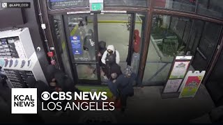 LAPD searching for group of flash robbers targeting shoe stores