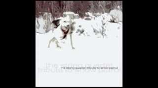 Tiny Little Fractures - The String Quartet Tribute to Snow Patrol