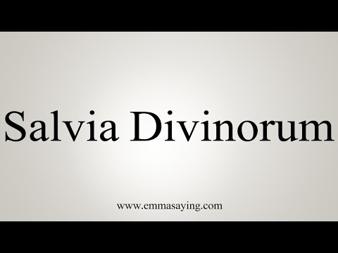 How To Say Salvia Divinorum