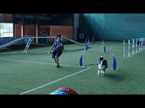 Successpedia Asia: Meet Shanice who started a Dog academy because of the love for her dog