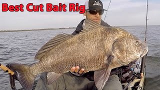 How To Rig Cut Bait (When Targeting Redfish & Black Drum in Deeper Areas)
