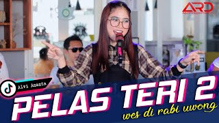 Download lagu Alvi Ananta - Pelas Teri 2 | Wes Di Rabi Uwong  | mp3