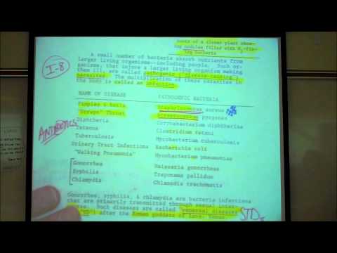 KINGDOM MONERA by Professor Fink