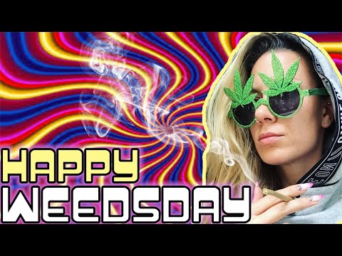 Happy Weedsday - HIGHLARIOUS Episode w/ Josh Wolf
