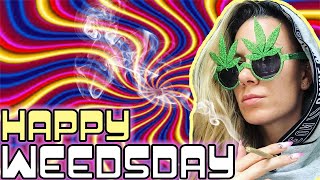 Happy Weedsday - HIGHLARIOUS Episode w/ Josh Wolf